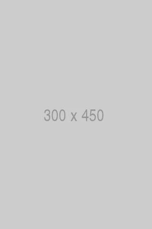 litho-300x450-ph.jpg